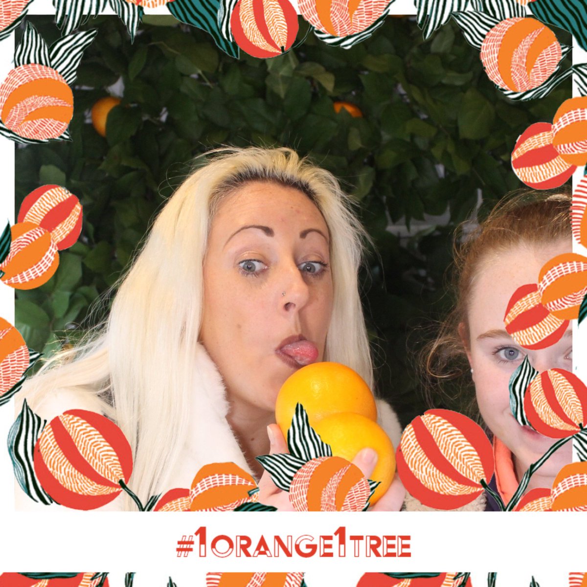 firefightermull's tweet image. 1 ORANGE = 1 TREE! For each #1orange1tree + 1 nomination, Cointreau will plant 1 tree on your behalf!