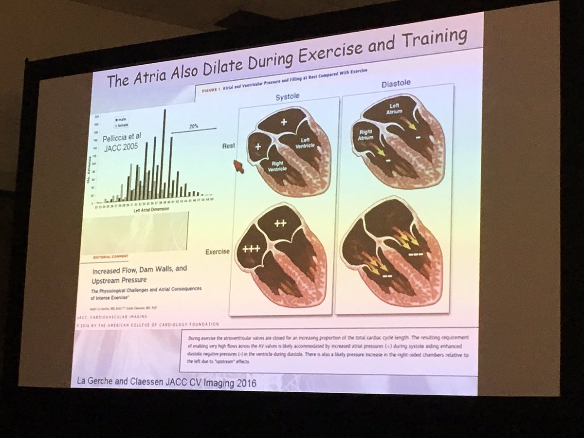 DebbeMcCall's tweet photo. #aha16 [BL] The atria also dilates with #exercise3 https://t.co/D8CzJsQiVU