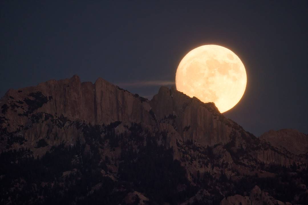 FLO Drinks tweet media