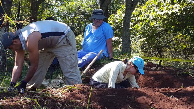 Ver imagen en Twitter