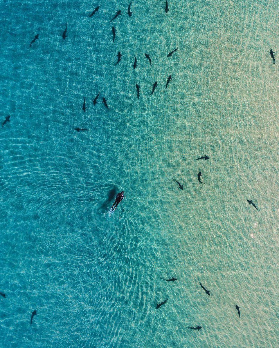 CxPLGIMUcAA5hzA.jpg:large