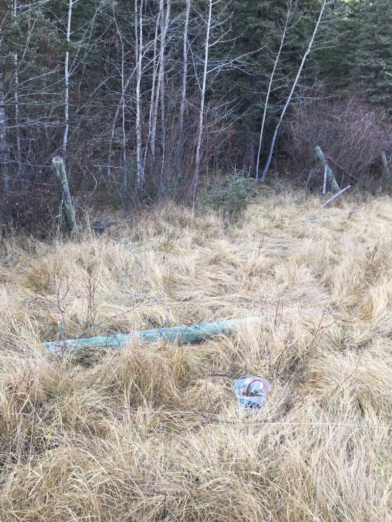 To all the hunters that can't figure out why we don't let every Tom Dick And Harry that phones hunt on our land.