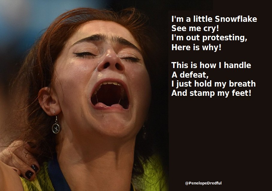 Image result for snowflake protests