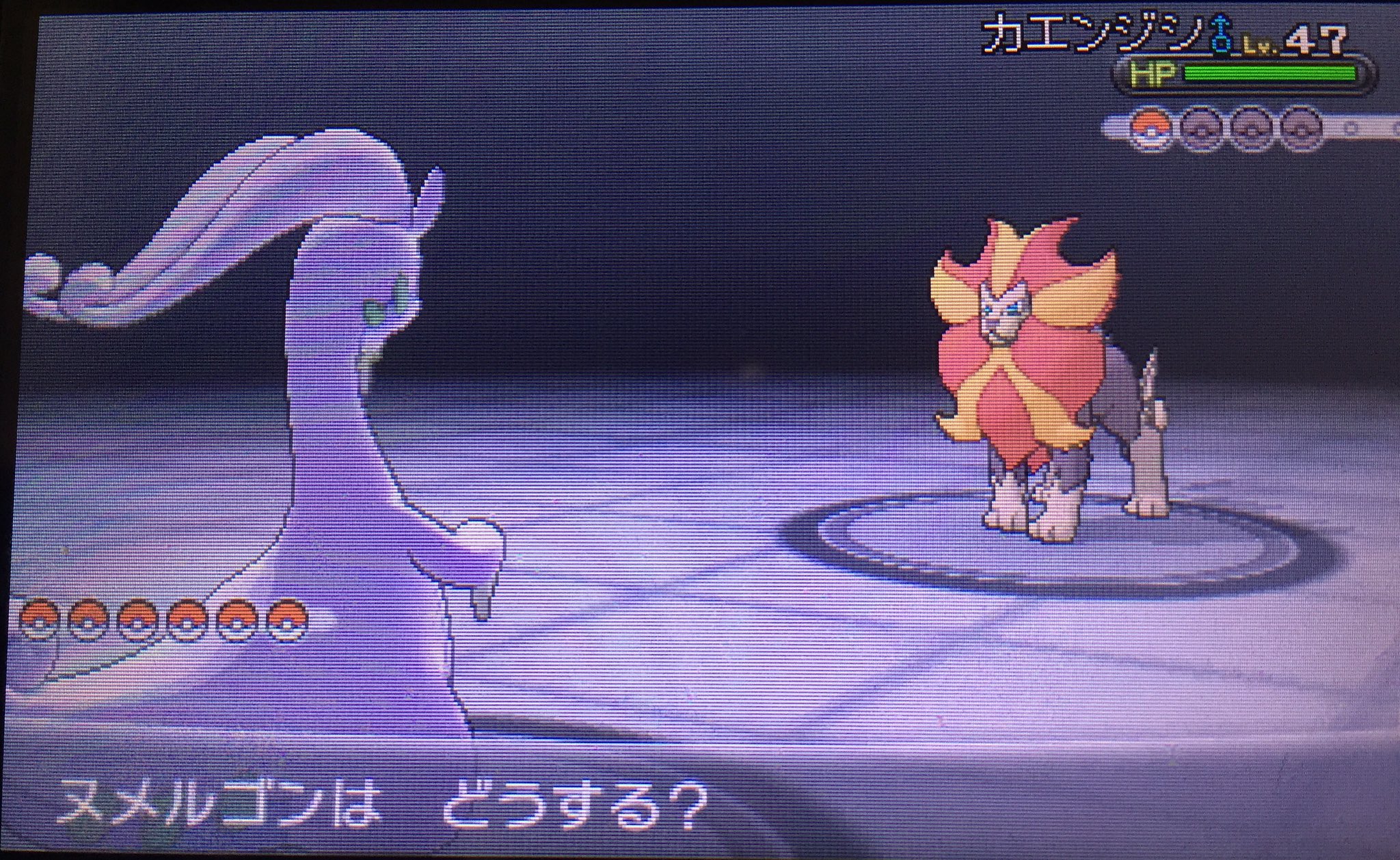 تويتر リフ M Sic Forever على تويتر ポケモンxy サトシのパーティ でサンムーン発売までに果たせなかったリーグ優勝目指す Part31 フラダリが最終兵器発動 フレア団以外の世界滅亡の危機 バトルでは勝利したけどどこかに逃げていった っ W C T Co