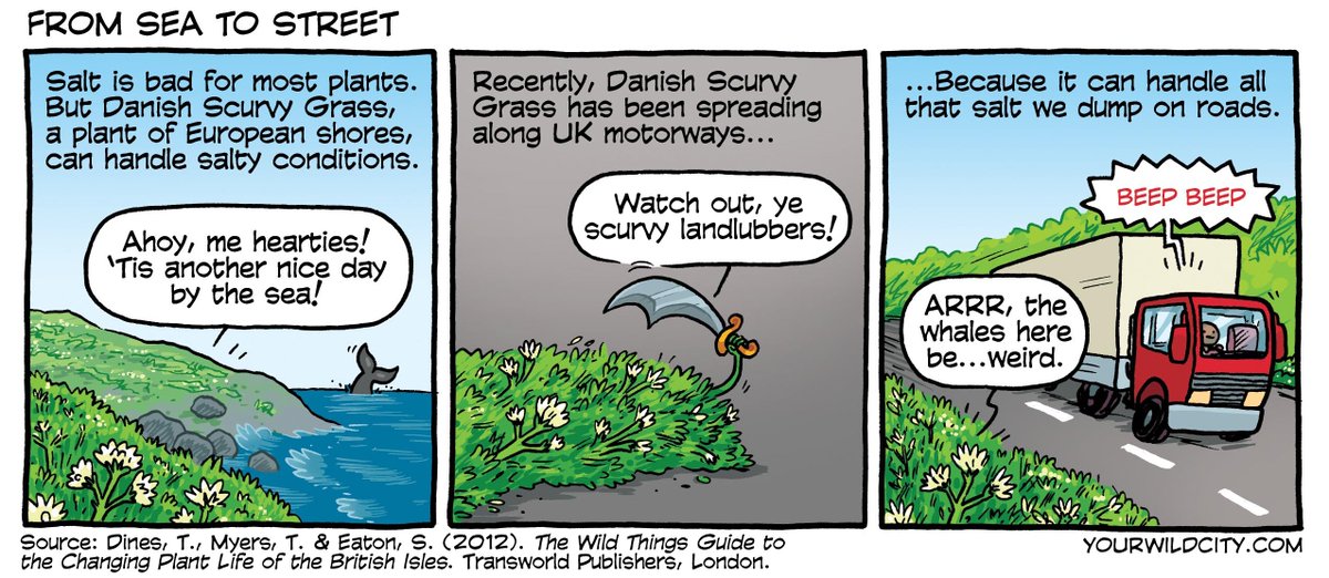 Another favorite from the archives: the invasion of the pirate plant!