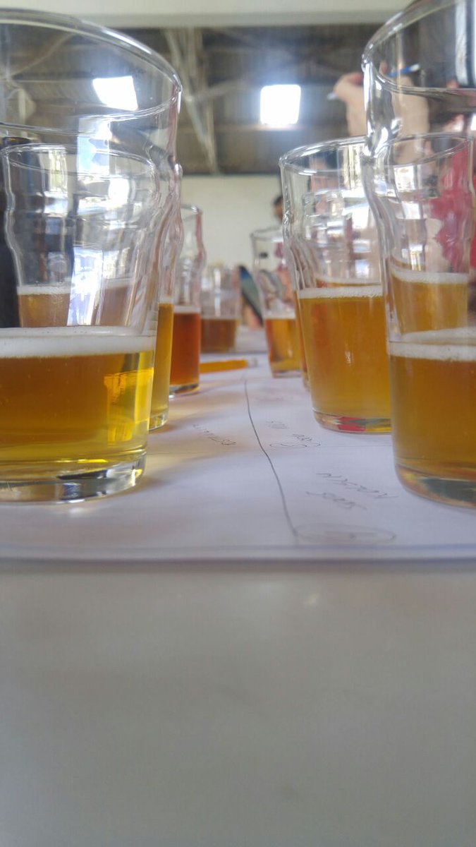 Expectativa para a escolha do mini BOS e do BOS do 3 concurso sul-brasileiro de cerveja caseira