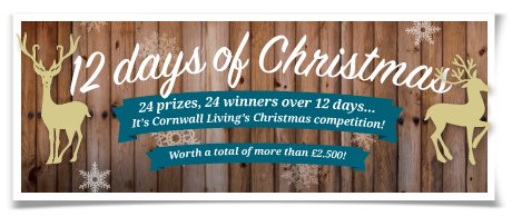 Foodie Cornwall tweet media