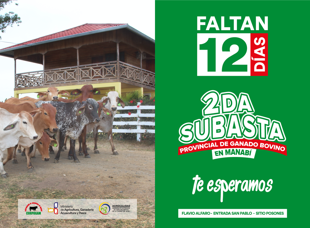 Corpogam1's tweet photo. @MashiRafael @MAGAP_Manabi @GoberManabi @ppsesa @ricardozampais @manavisionec @AgriculturaEc @Margotholmedo @JorgeGlas @GADManabi @GadChone https://t.co/o5JpEx19K1