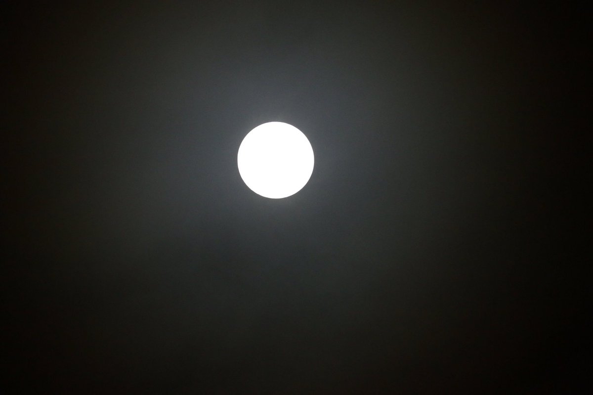 Lihatlah langit malam hari ini.. Rembulan yg memancar lbh terang.. Subhanallah.. Maha Suci Allah.. #supermoon di Jaksel <a href="/RadioElshinta/">Radio Elshinta</a>