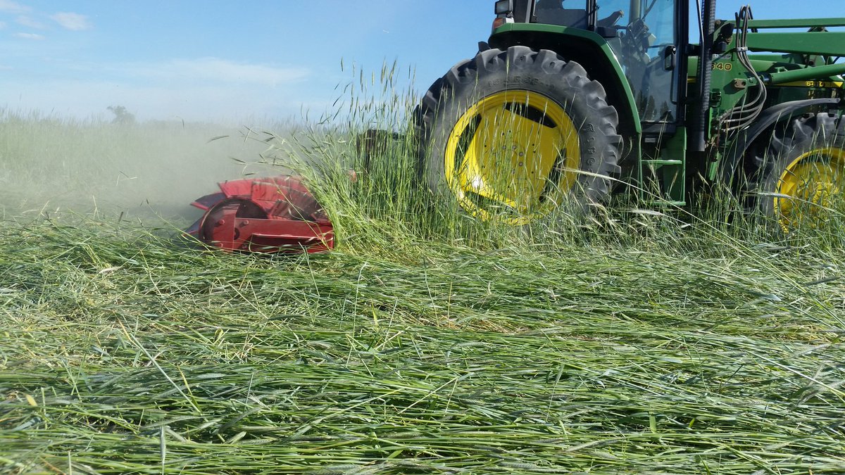 MelLuymes's tweet photo. Registered for @EFAO2 conference in Kingston! Esp excited to see Jeff Moyer @RodaleInstitute talk #notill #covercrops #rollercrimp #ontag https://t.co/WWMnkUhb5C