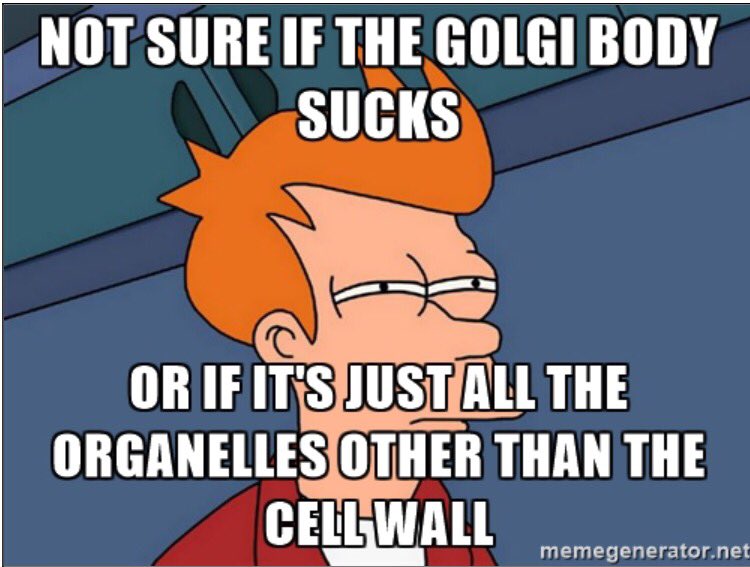cellwall4prezy's tweet photo. @THE_GOLGI_BODY_ https://t.co/SNIa8LUTcu