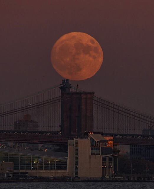 Severino Riaño (@19_riano) on Twitter photo 