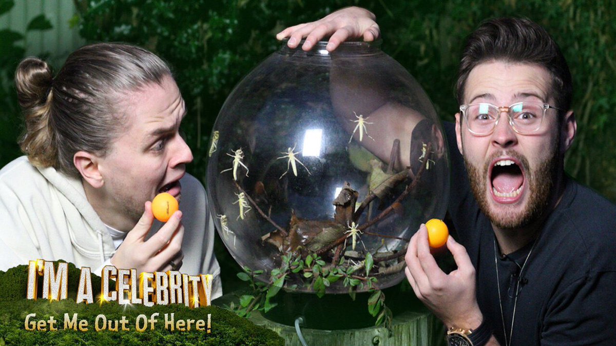 JamesAndConor's tweet photo. SCORPIAN EATING 🐛🕷
(https://t.co/N9Rm2YIDaY)
IM A CELEBRITY GET ME OUTTA HERE!!
This video was horrid, SHARE AND LIKE!!
Love yous, #ImACeleb https://t.co/4n6ovoYV8n