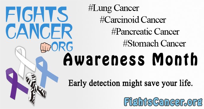 fightscancer's tweet photo. #November #LungCancer #PancreaticCancer #StomachCancer #CarcinoidCancer #awarenessmonth #FightsCancer , design &amp; marketing support @MediaO2 https://t.co/TUqo831v41