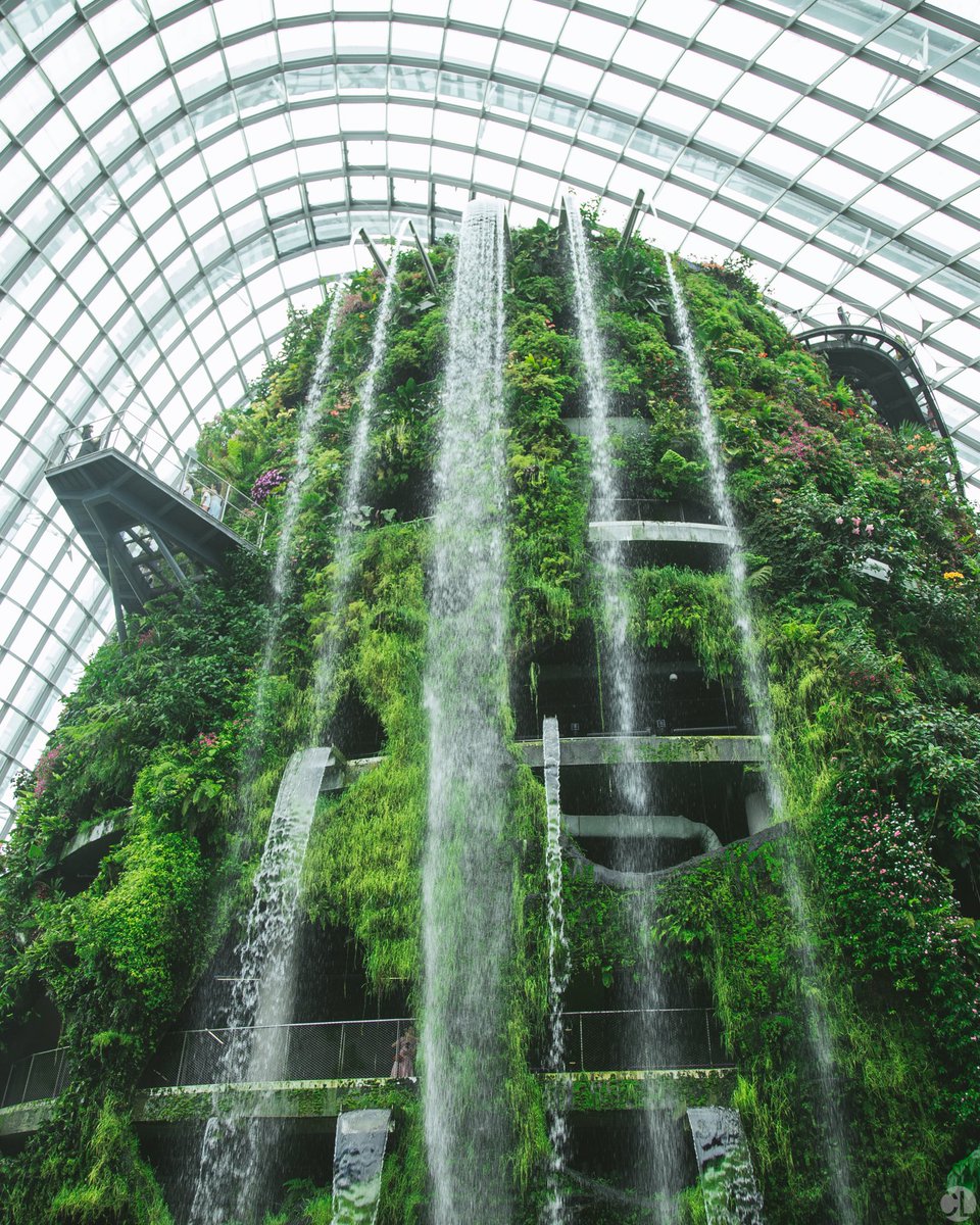 Commonless_'s tweet photo. Water[falls] #commonless -- Gardens by the Bay, Singapore | 📷: @jonjovellanos https://t.co/Eo64ufkpSD