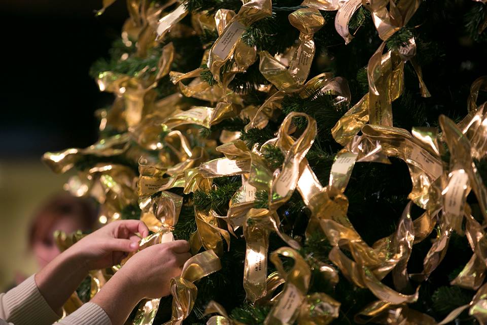 accorg's tweet photo. Only Two Weeks Left to Order Your Gold Ribbon, Before November 27th. https://t.co/AiHrk4QfVD
#AwarenessTree #GoldRibbon #ACCO https://t.co/a44fmzILb1