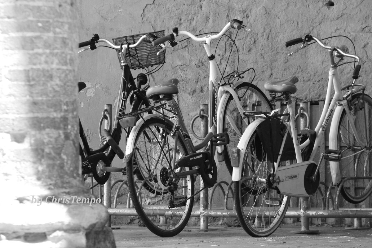 CHRISTIAN3TEMPO's tweet photo. #OnlyBo bikes on the street ....carine dai ! https://t.co/L03eW061jm