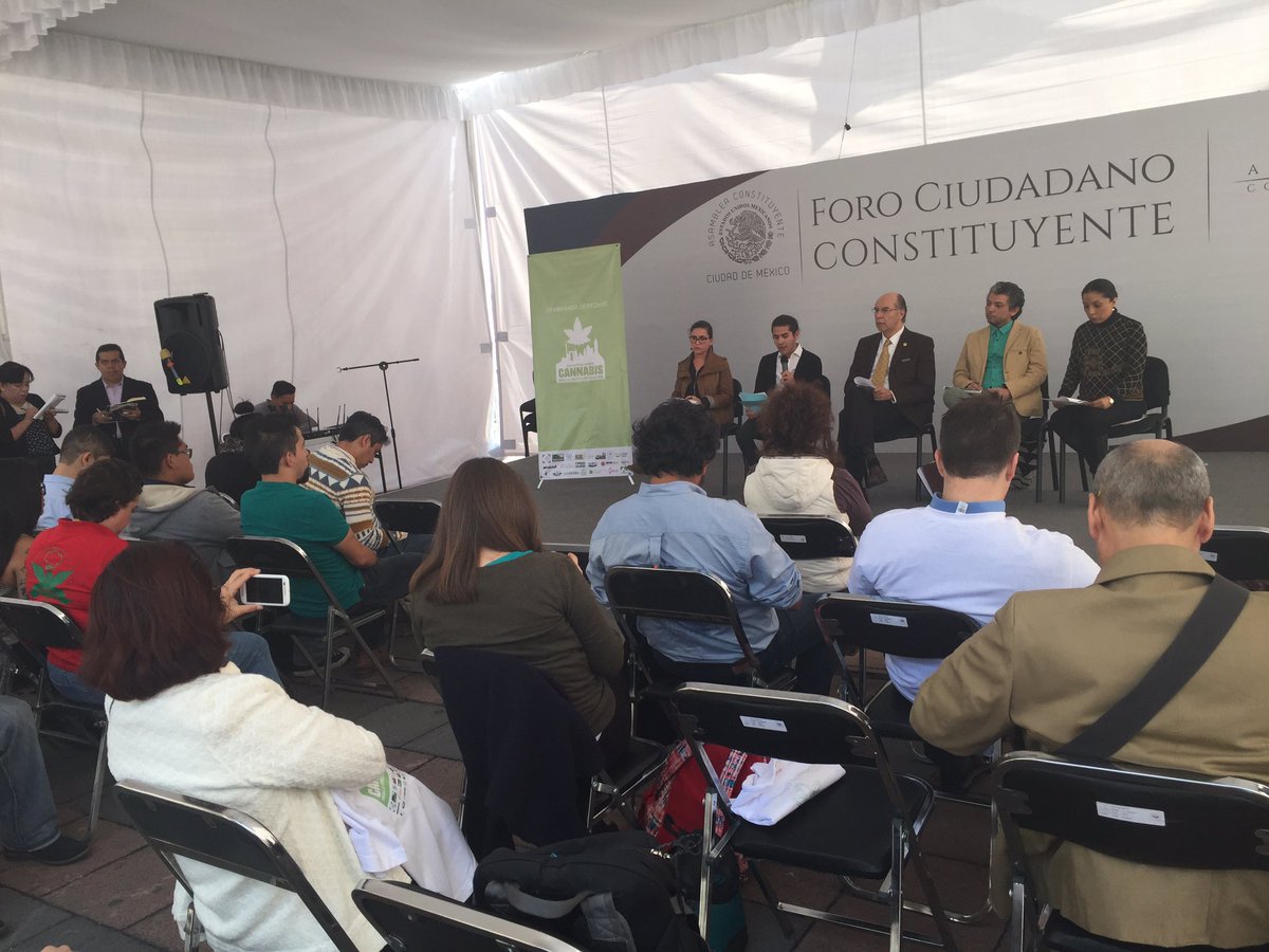 progresistaMX's tweet photo. Presentan propuesta para cannabis en la #ConstituciónCDMX @zarasnapp @progresistaMX @AChanonaB @esthela_damian https://t.co/xFXAVY5aqA