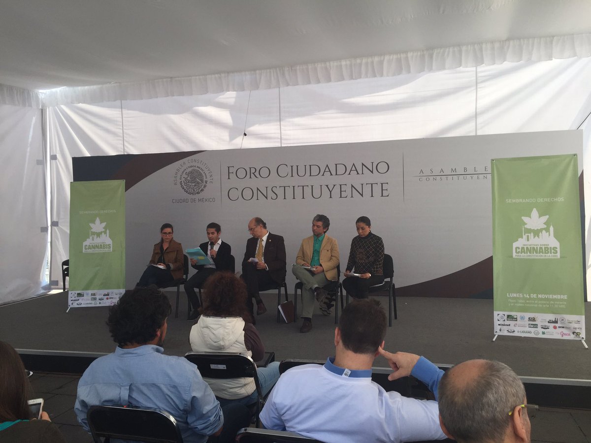progresistaMX's tweet photo. Presentan propuesta para cannabis en la #ConstituciónCDMX @zarasnapp @progresistaMX @AChanonaB @esthela_damian https://t.co/xFXAVY5aqA