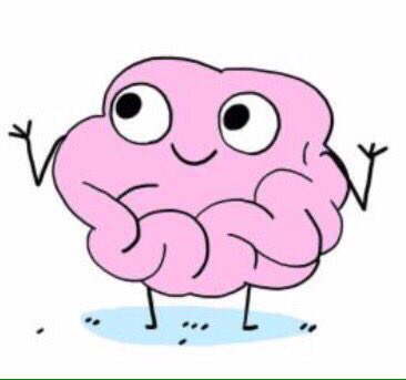 bebi_fernandez's tweet photo. Yo: bueno vamos a ponernos ya a estudiar y concentrarnos ya es hora.
Mi cerebro: https://t.co/t9LEq83Orf