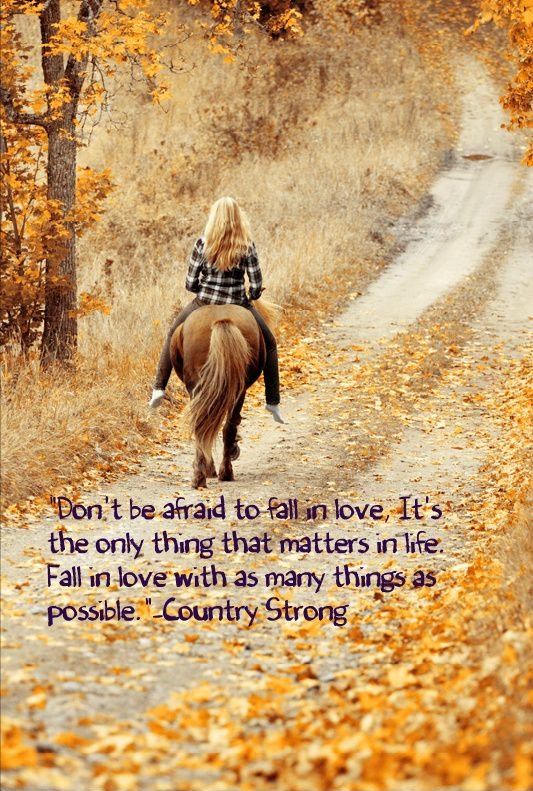 bootslipsock's tweet image. 