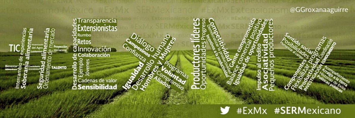 GGroxanaaguirre's tweet photo. Incentivando a #PequeñosProductores a mejorar y aumentar su productividad
1er. Foro Estatal de @ExtensionismoMx en Hidalgo @ppcalzada #ExMx https://t.co/haJhL8s5vV