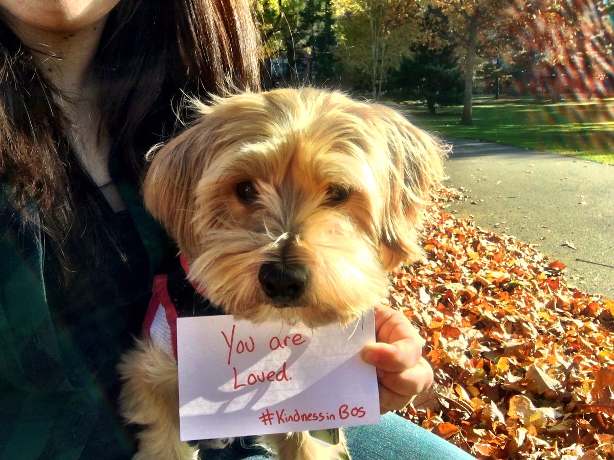KindnessinBOS's tweet photo. Even our pets can help spread kindness. #kindnessinbos #boston #WorldKindnessDay @OnlyInBOS https://t.co/4bBf6dWvof