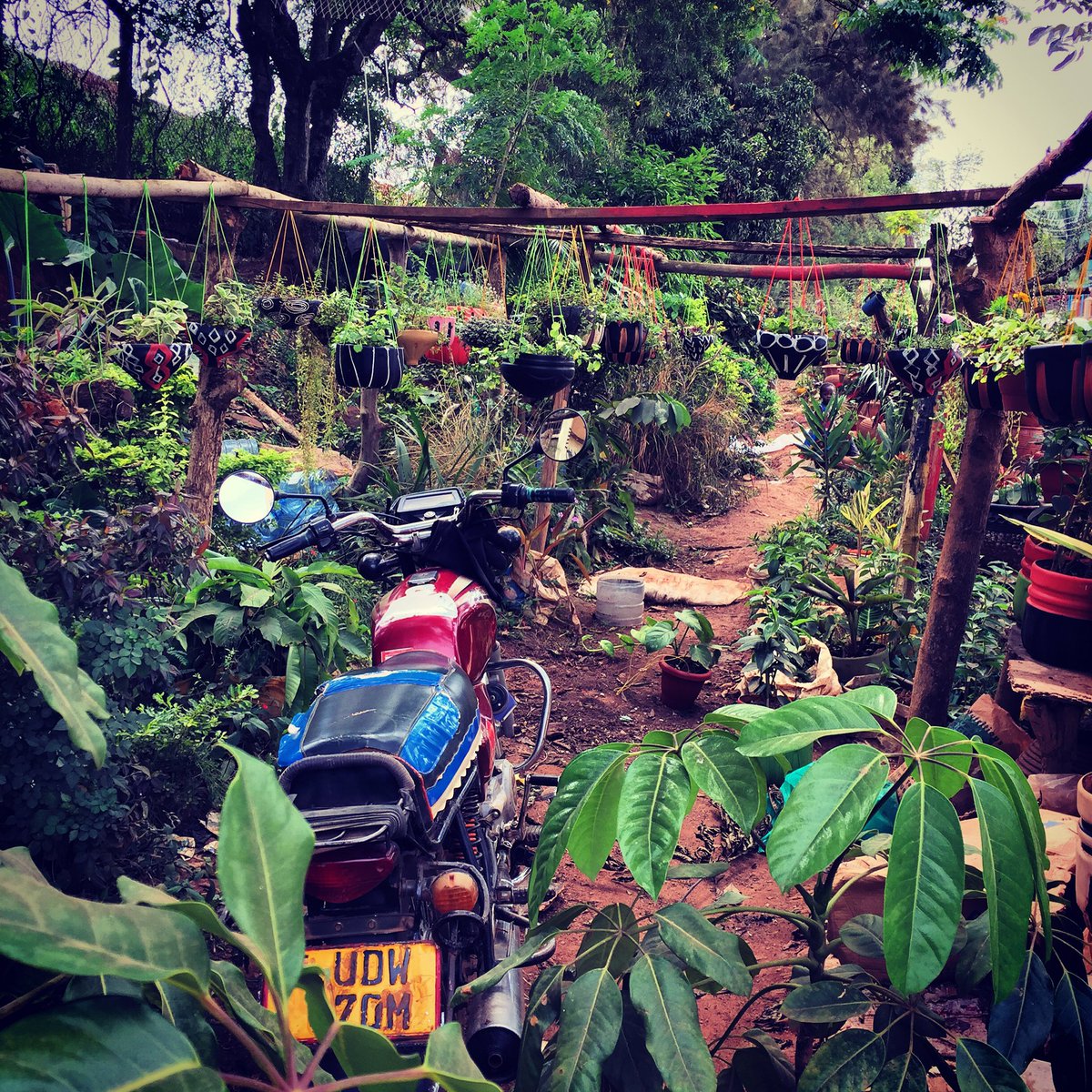 ndiemily's tweet photo. My name is Emily Cody, my email emilycody@gmail.com, and this is a submission 2 the "wildlife/nature" category. Thanks! #expatsguideuganda https://t.co/a7WQv2HKCj