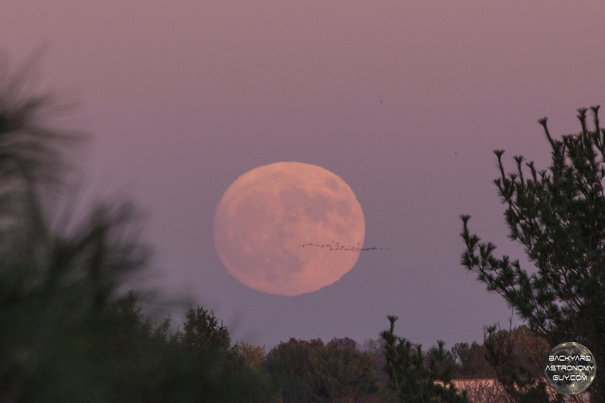 Miss the #supermoon last night? No worries, you have another chance tonight but not again until 2034! Tag your photos #NASASupermoon