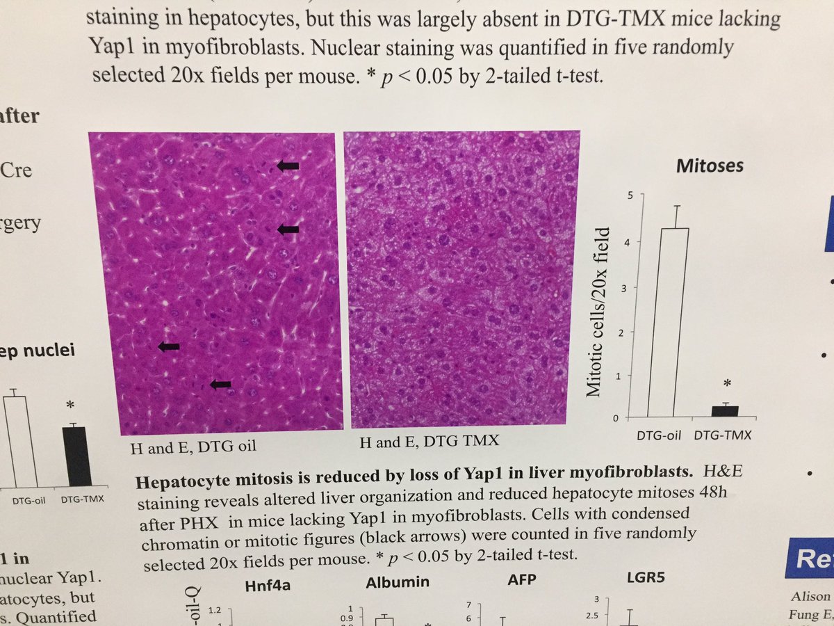 Andrew Muir tweet media