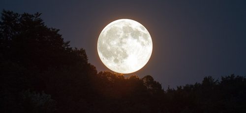 Vindunno's tweet image. #Astronomitaly: Guarda la #Superluna in Diretta Video HD 
astrocometal.blogspot.it/2016/11/astron…