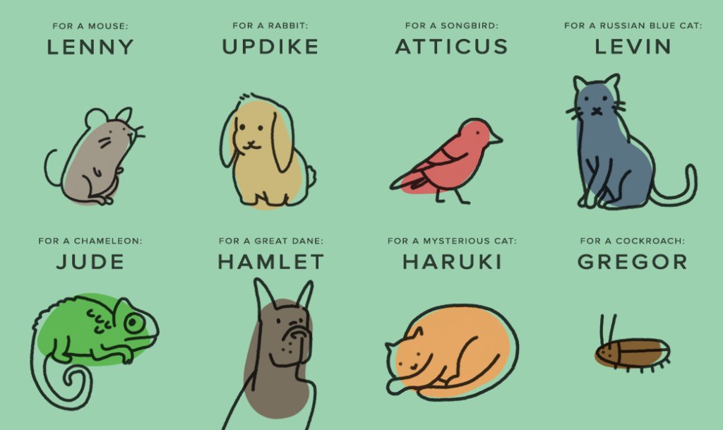 WarbyParker's tweet photo. Every pet needs a good name. Perhaps our guide to literary pet names can be of assistance: https://t.co/Yekzbh9gRl https://t.co/rDh5Ai2Ep2