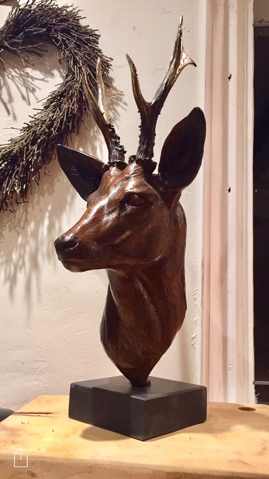 Check out this amazing bronze roe buck head by the very talented @Jennagearingsculpture #deerstalking #deerstalkingukmagazine #shooting