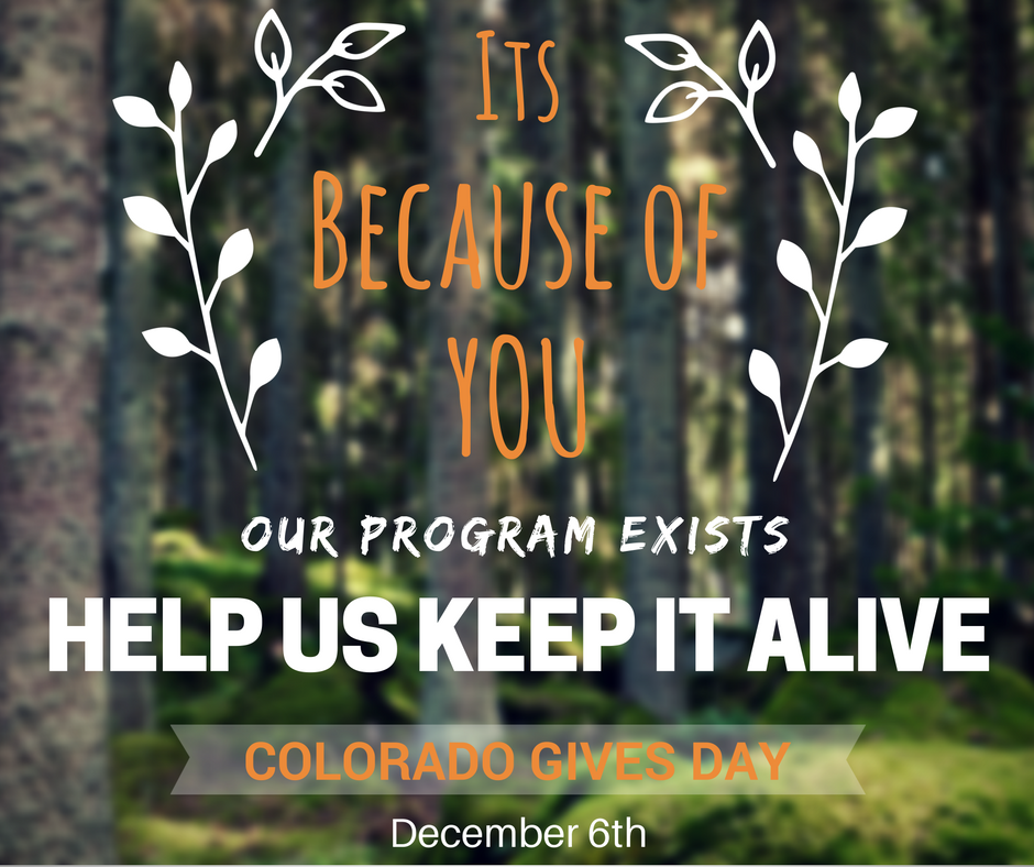 cyclefx's tweet image. Schedule your donation before the holidays get busy!  #COGivesDay #TheCycleEffect
coloradogives.org/TheCycleEffect…