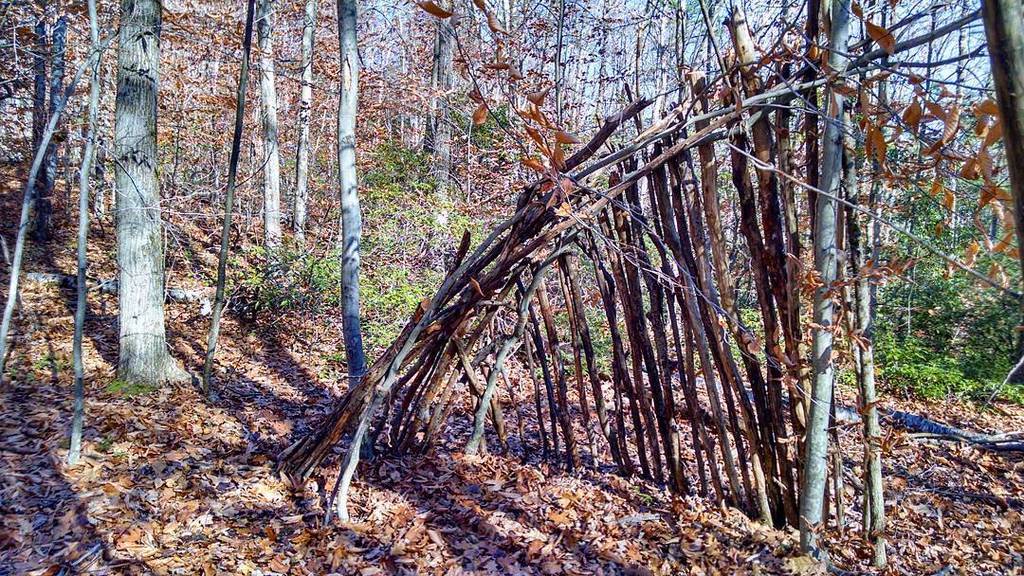 Phase one. #bushcraft #shelter #shelterbuilding #wilderness #survival #survivalshelter #woodcraft #woodsman