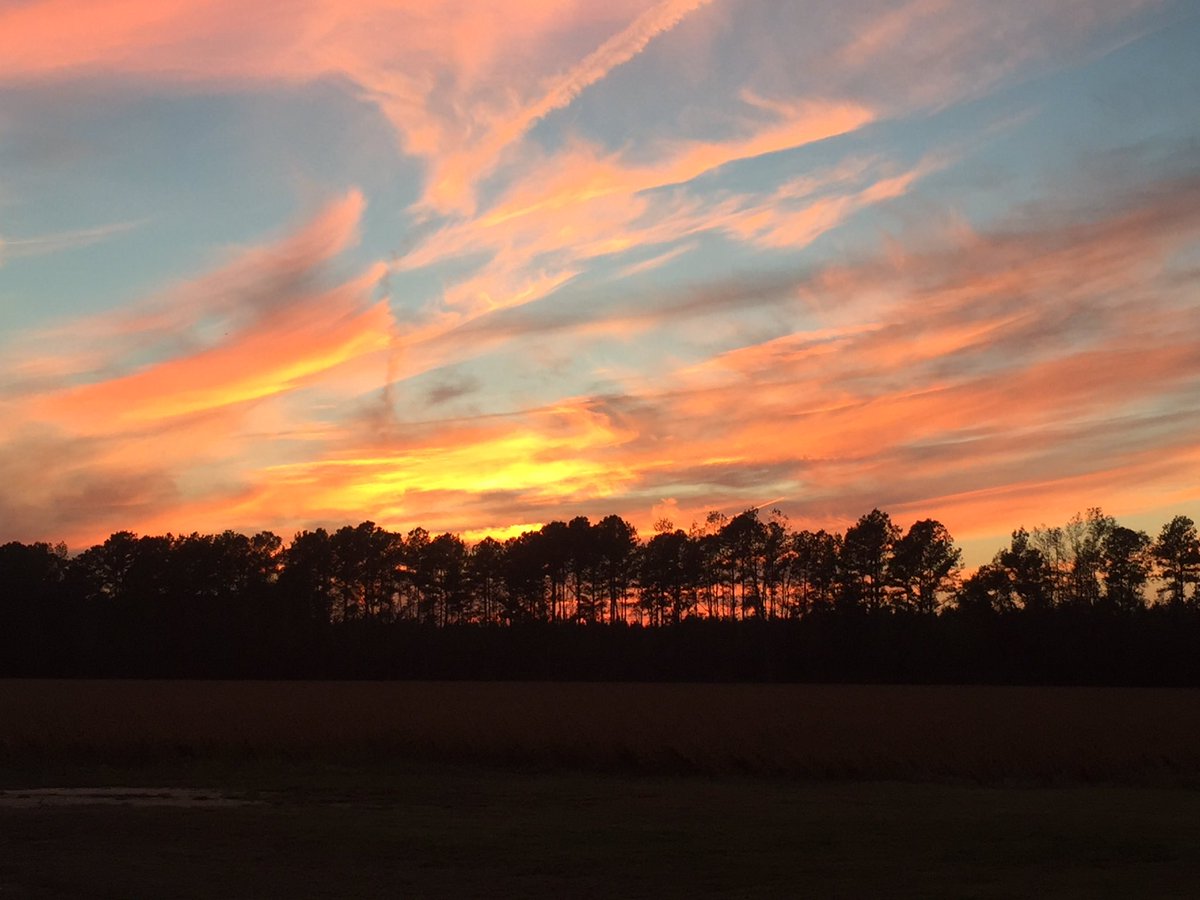 Provisional Sports tweet media