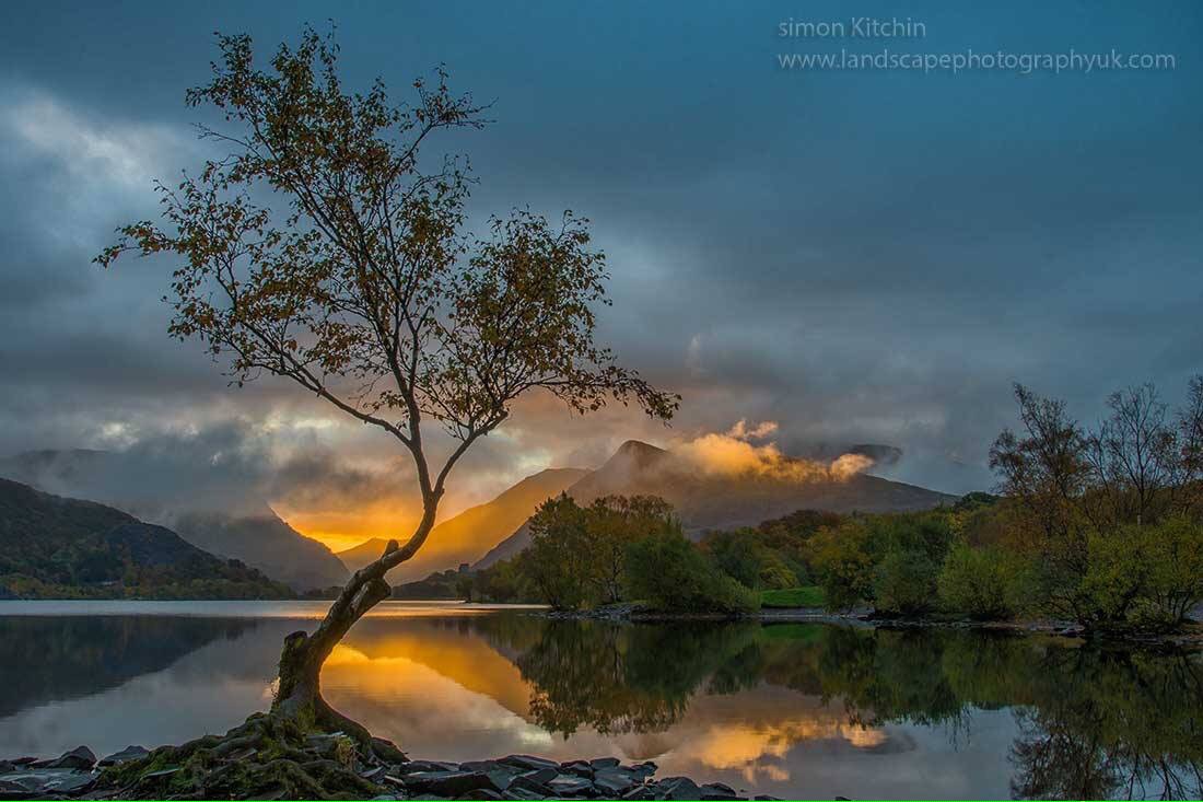 Active_FirstAid's tweet photo. The lonely tree on Llyn Padarn in #Llanberis. The place I call home (photo: Simon Kitchin) https://t.co/etCcVxW7H4