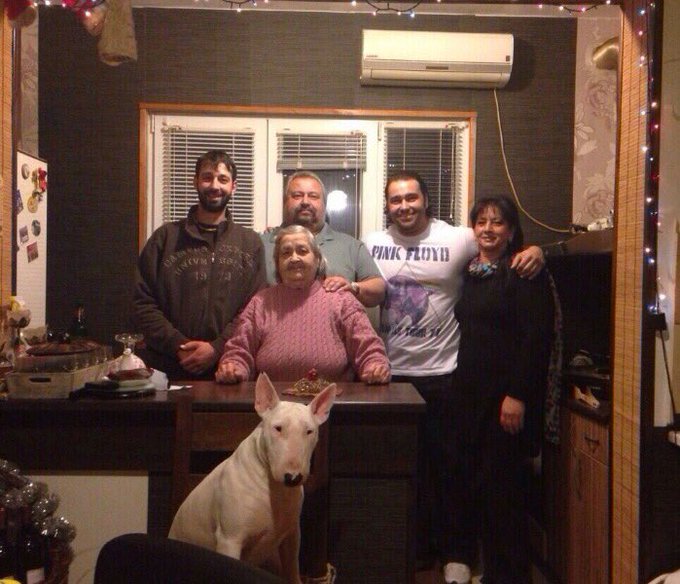 Ver imagem no Twitter