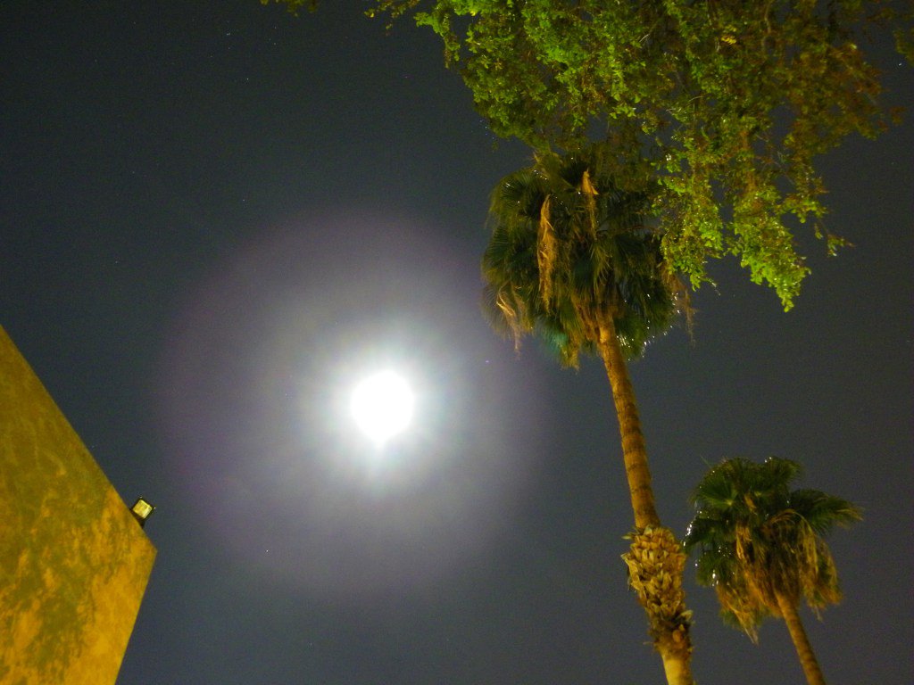 DangerousDeb's tweet photo. Supermoon Outshines the Dark Night https://t.co/wlbZet786n https://t.co/w3amyePFwE