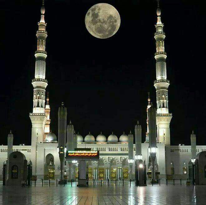 أخبار منطقة المدينة المنورة tweet media