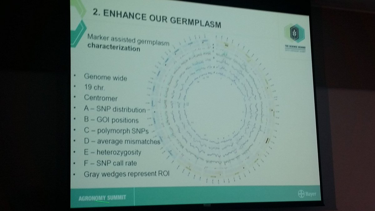 Complete genome of canola- back to school with genetics!  #molecularbreeding #BayerSummit