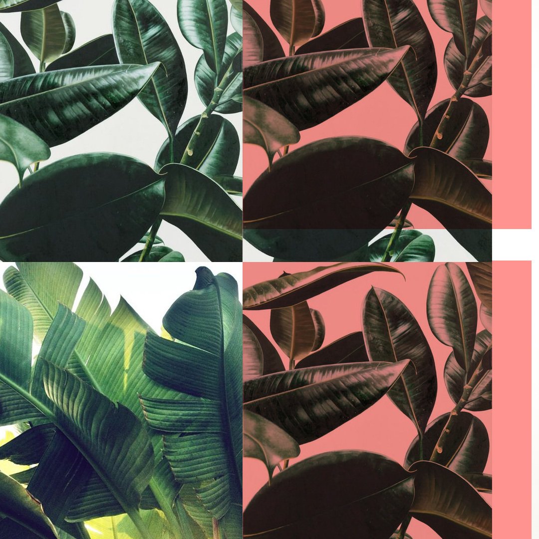 chanchanonline's tweet photo. Tropical vibes 🍃👙
Diseño Juana • Colección #TROPICUS https://t.co/oOZRzKttZ2