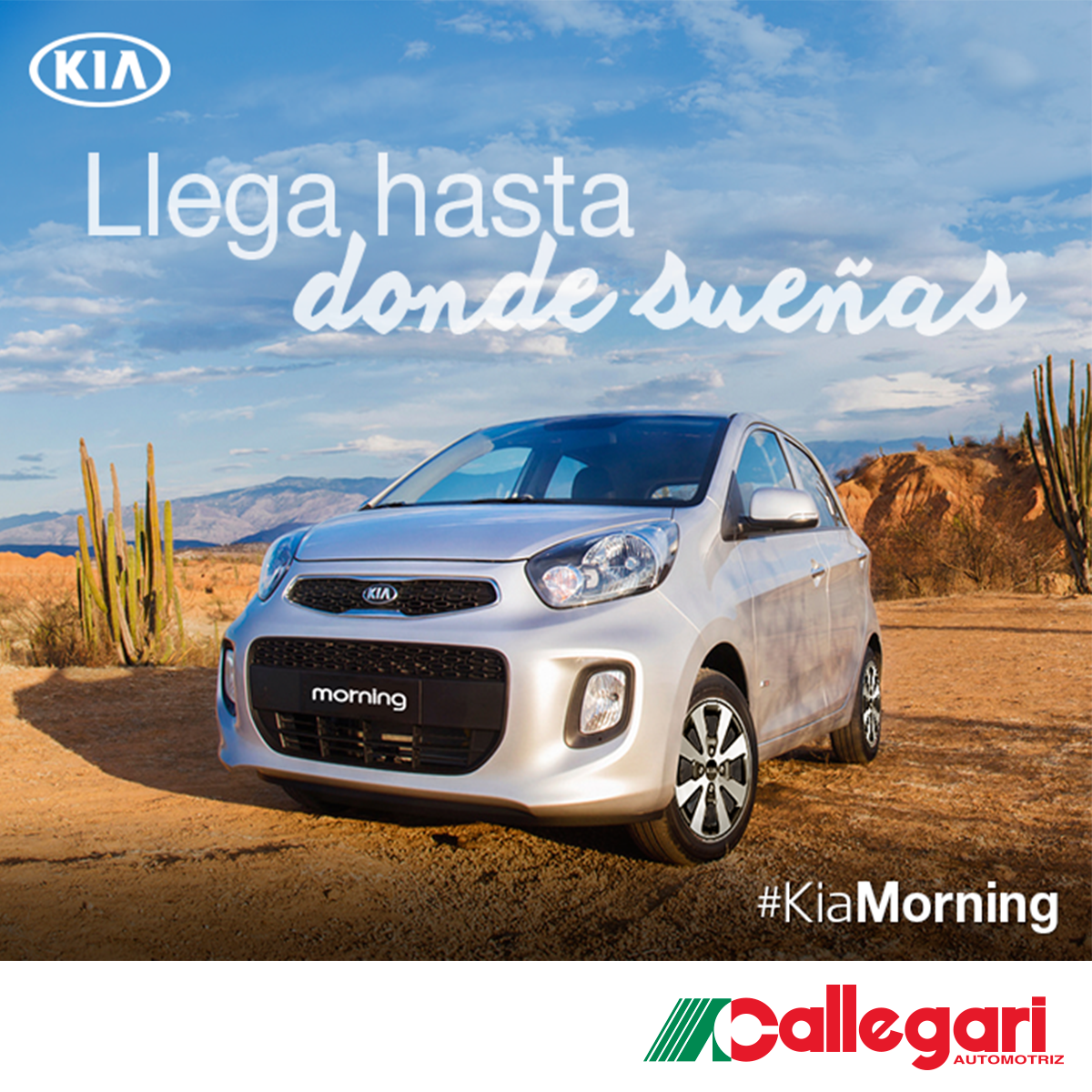 Callegari_Chile's tweet photo. Porque no sólo buscas un auto, también un compañero de aventuras.
En #Callegari tenemos el #KiaMorning que quieres → https://t.co/3rb71TlAKW https://t.co/Voep7QwuuI