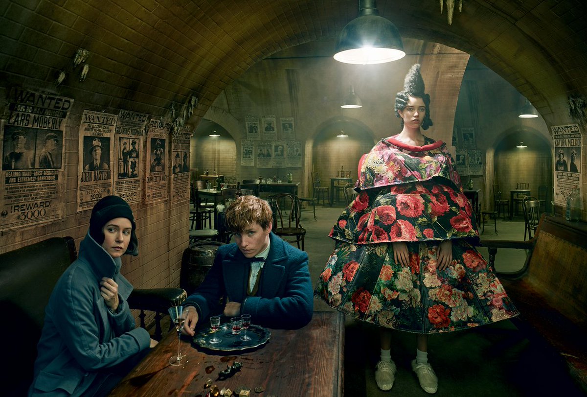 withpatterns's tweet image. fantastic beasts is art