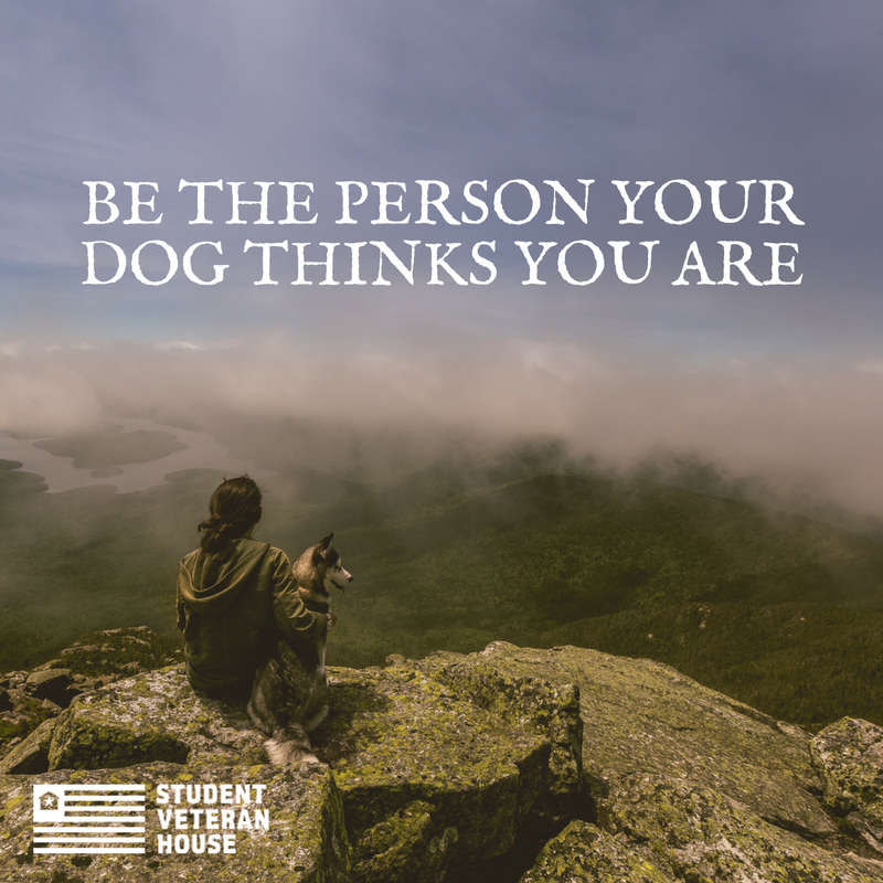 StudentVeteranHouse (@studentvethouse) on Twitter photo 