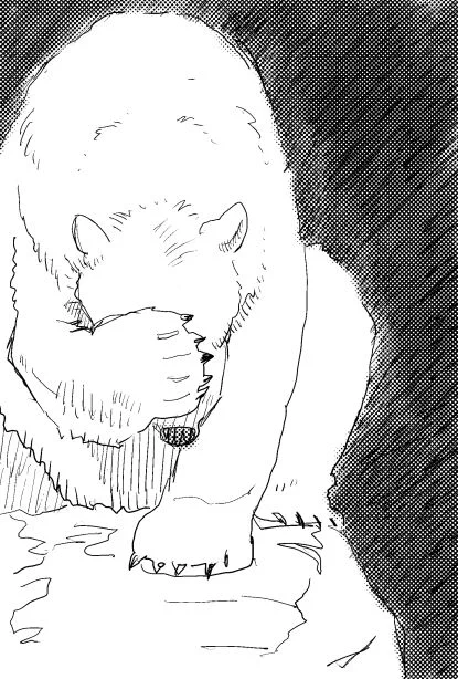 しろくま 