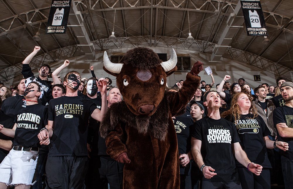 HardingSports's tweet photo. Great article about Buff the Bison!

https://t.co/68cilD4Gmk https://t.co/MzU20VlmHF