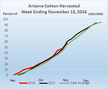 usda_nass's tweet photo. #AZ #Cotton #Harvest16 nearly 60% complete, slightly ahead of 5-yr avg. @azagriculture @azfb #AgChat #AgStats #AZFarming #GrowingArizona https://t.co/bEb3QTZCI8