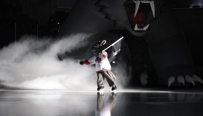 📷 Check out these great pics by <a href="/snapdBrampton/">snapd Brampton</a> from yesterday's <a href="/KotakLaw/">Kotak Law</a> Military Appreciation game!

➡ [facebook.com/pg/snapdBrampt…]