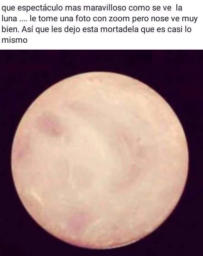 _mariadepp tweet picture